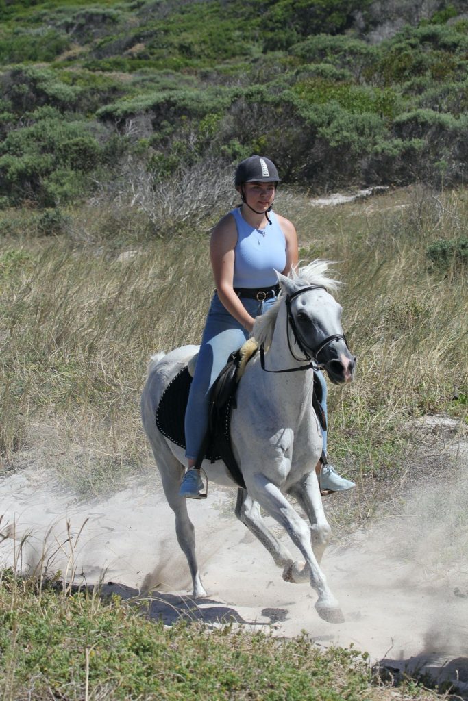 28686ddd 5e42 499e 8ec9 54ef8169bf3f