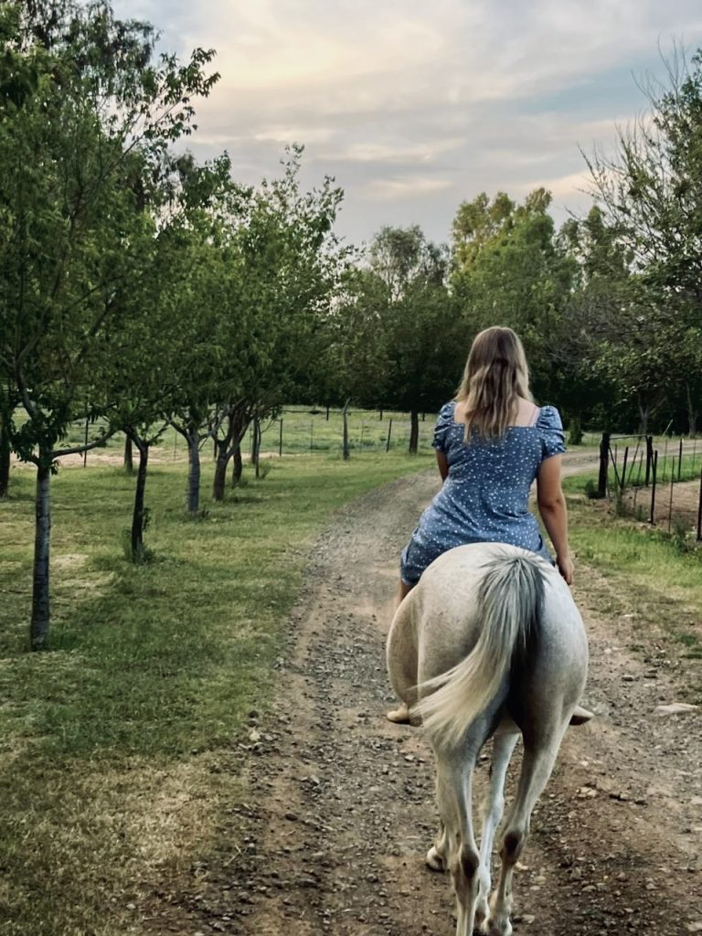 4d4615bc 56ef 4d11 81c2 31c9ac062b18