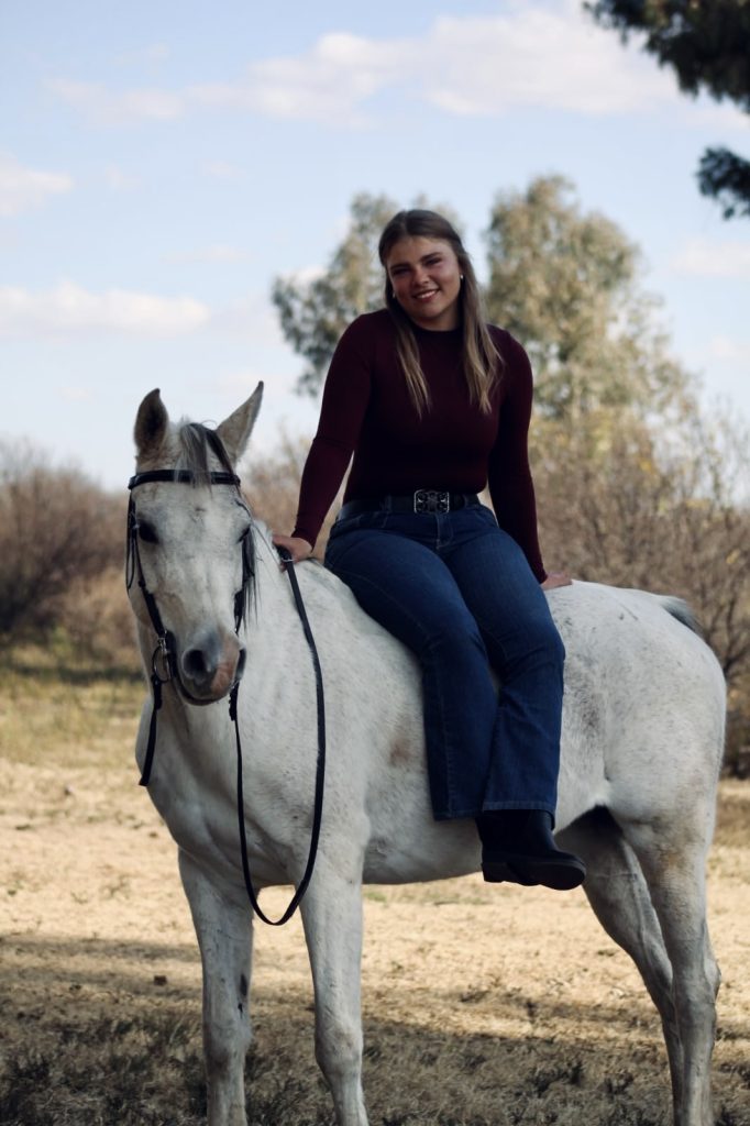 dd3c6cc2 eab7 429f 8113 b106e2cf26e2